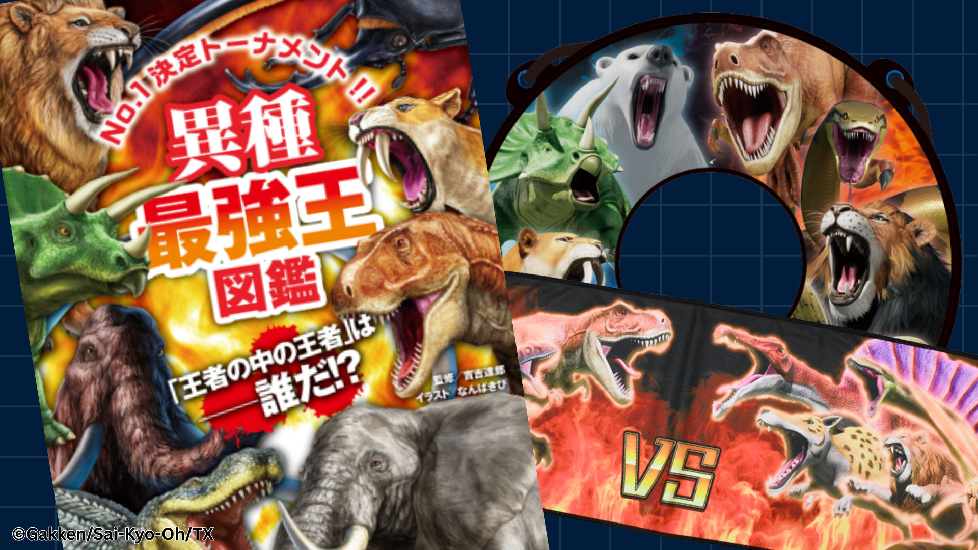 多国籍講師 (10).png